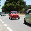 Montevago 2010 (457)
